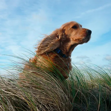 Apartment Abendlicht *