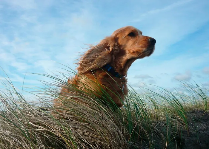 Appartement Abendlicht *